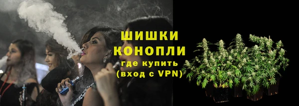 твердый Козельск