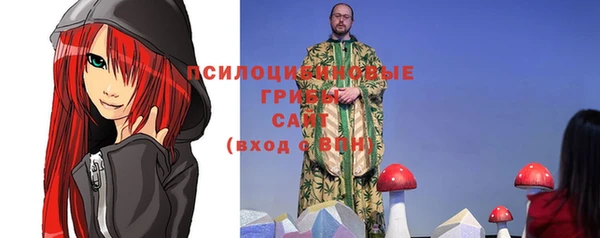 твердый Козельск