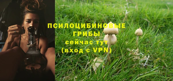 прущая мука Козловка