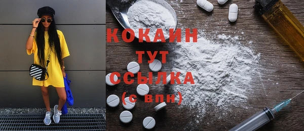 твердый Козельск