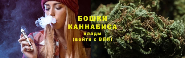 твердый Козельск