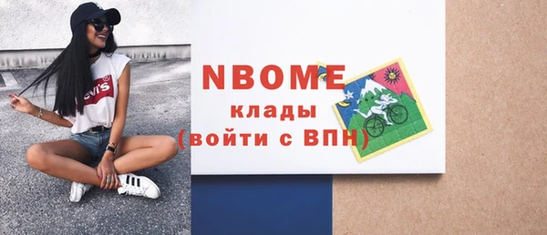 твердый Козельск